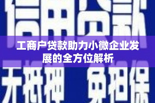 大社工商户贷款助力小微企业发展的全方位解析