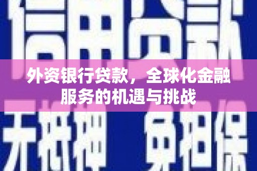 大社外资银行贷款，全球化金融服务的机遇与挑战
