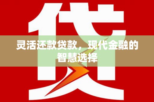 大社灵活还款贷款，现代金融的智慧选择