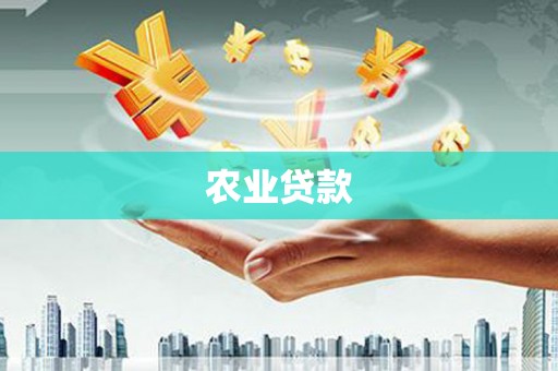 大社农业贷款