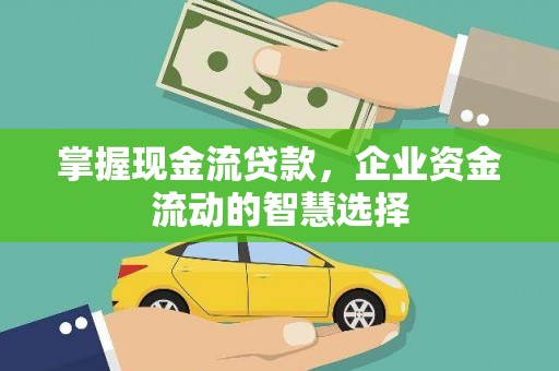 大社掌握现金流贷款，企业资金流动的智慧选择