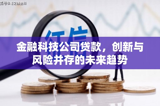 大社金融科技公司贷款，创新与风险并存的未来趋势