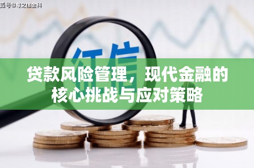 大社贷款风险管理，现代金融的核心挑战与应对策略