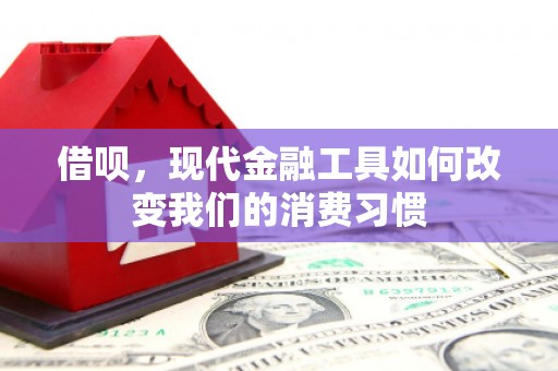 大社借呗，现代金融工具如何改变我们的消费习惯