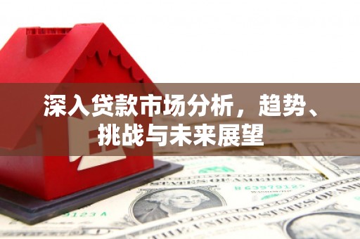大社深入贷款市场分析，趋势、挑战与未来展望