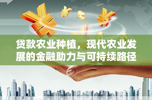 大社贷款农业种植，现代农业发展的金融助力与可持续路径