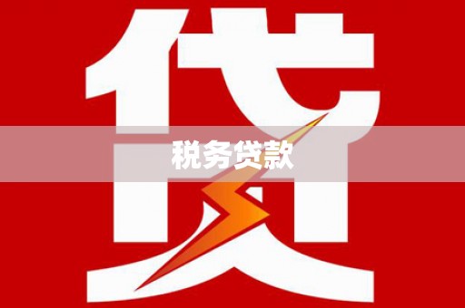 大社税务贷款