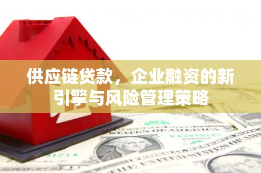 大社供应链贷款，企业融资的新引擎与风险管理策略