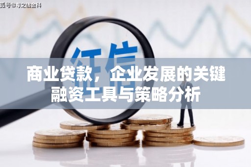 大社商业贷款，企业发展的关键融资工具与策略分析