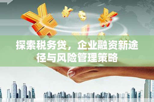 大社探索税务贷，企业融资新途径与风险管理策略
