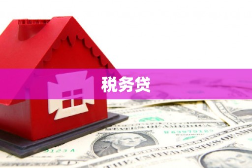 大社税务贷