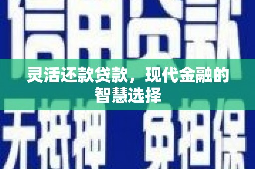 大社灵活还款贷款，现代金融的智慧选择