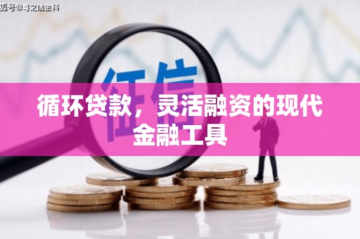 大社循环贷款，灵活融资的现代金融工具