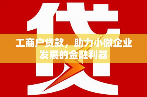 大社工商户贷款，助力小微企业发展的金融利器