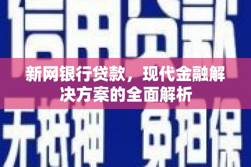 大社新网银行贷款，现代金融解决方案的全面解析