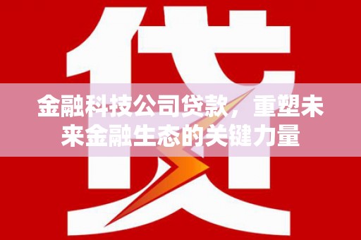 大社金融科技公司贷款，重塑未来金融生态的关键力量