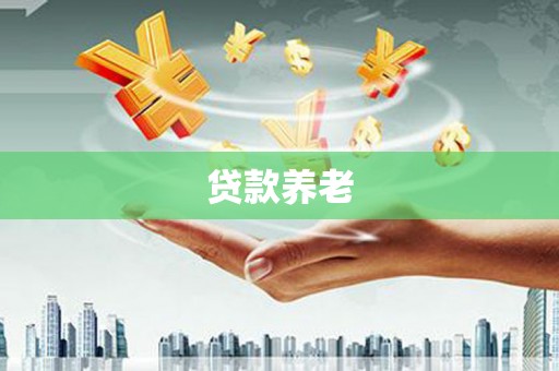 大社贷款养老