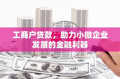 大社工商户贷款，助力小微企业发展的金融利器