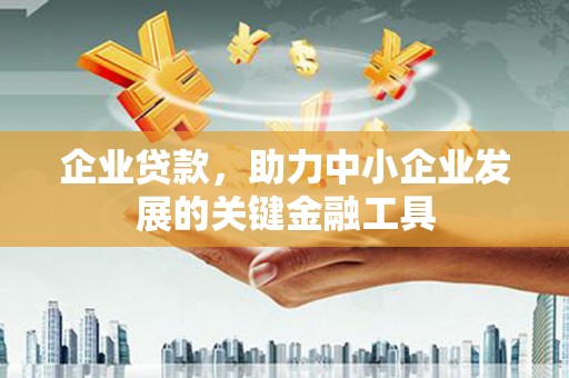 大社企业贷款，助力中小企业发展的关键金融工具