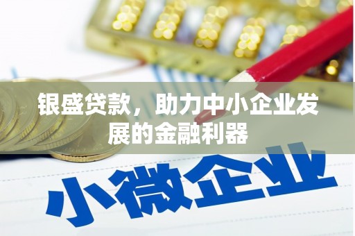 大社银盛贷款，助力中小企业发展的金融利器