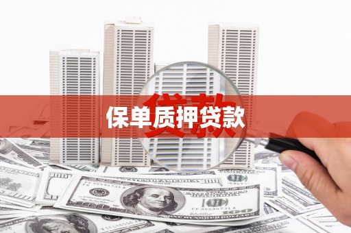 大社保单质押贷款