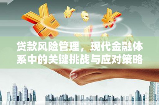 大社贷款风险管理，现代金融体系中的关键挑战与应对策略