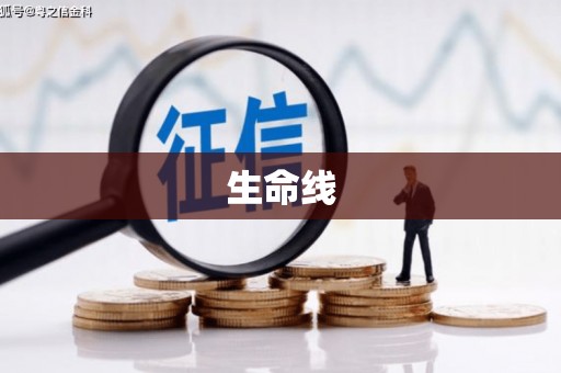 大社生命线