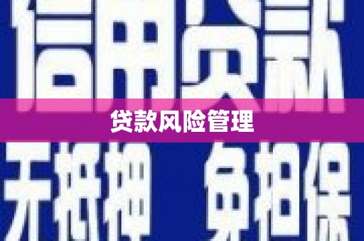 大社贷款风险管理