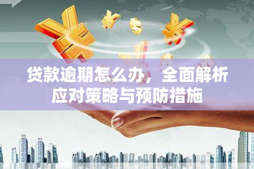 大社贷款逾期怎么办，全面解析应对策略与预防措施