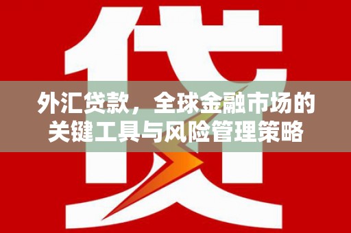 大社外汇贷款，全球金融市场的关键工具与风险管理策略