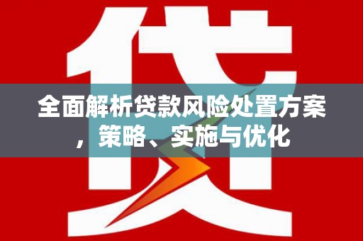 大社全面解析贷款风险处置方案，策略、实施与优化