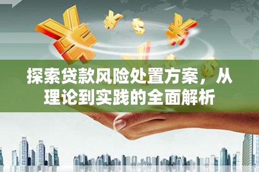 大社探索贷款风险处置方案，从理论到实践的全面解析