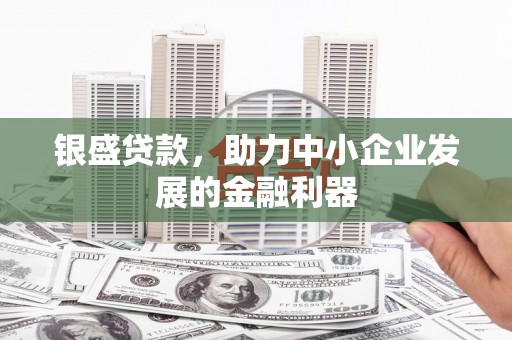 大社银盛贷款，助力中小企业发展的金融利器