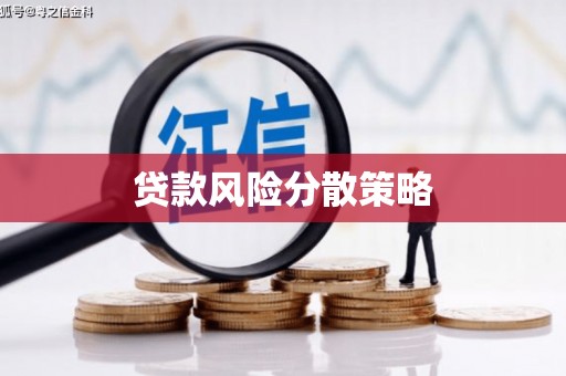 大社贷款风险分散策略