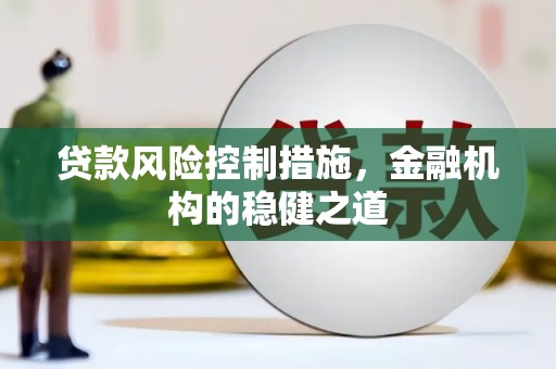 大社贷款风险控制措施，金融机构的稳健之道