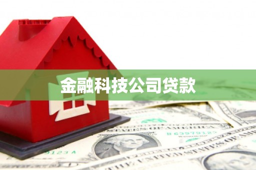 大社金融科技公司贷款