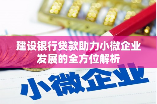 大社建设银行贷款助力小微企业发展的全方位解析