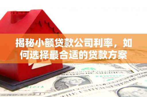 大社揭秘小额贷款公司利率，如何选择最合适的贷款方案
