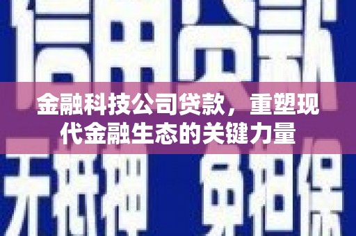 大社金融科技公司贷款，重塑现代金融生态的关键力量