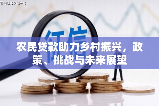 大社农民贷款助力乡村振兴，政策、挑战与未来展望