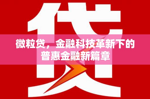 大社微粒贷，金融科技革新下的普惠金融新篇章