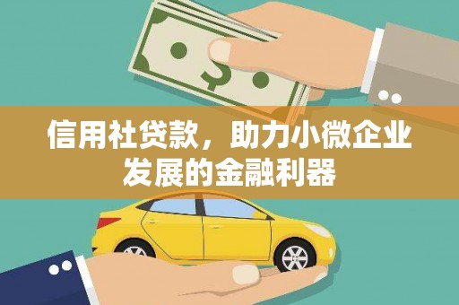 大社信用社贷款，助力小微企业发展的金融利器