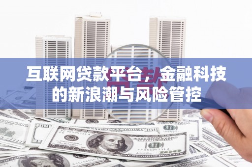 大社互联网贷款平台，金融科技的新浪潮与风险管控