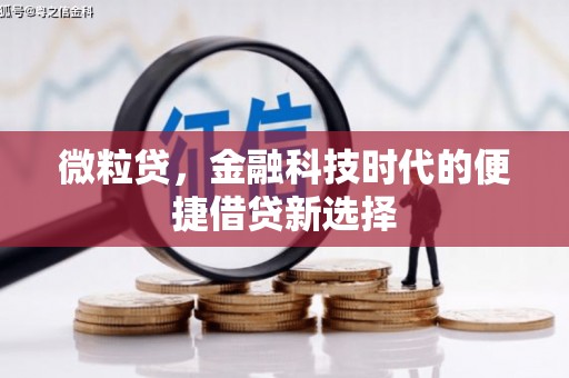 大社微粒贷，金融科技时代的便捷借贷新选择
