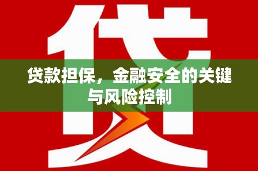 大社贷款担保，金融安全的关键与风险控制