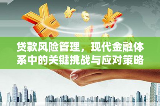 大社贷款风险管理，现代金融体系中的关键挑战与应对策略