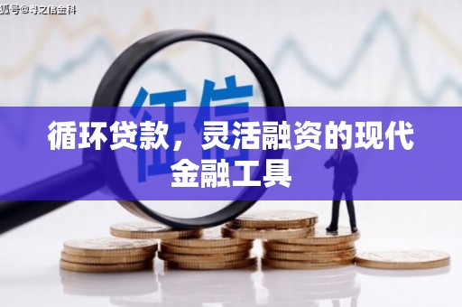 大社循环贷款，灵活融资的现代金融工具