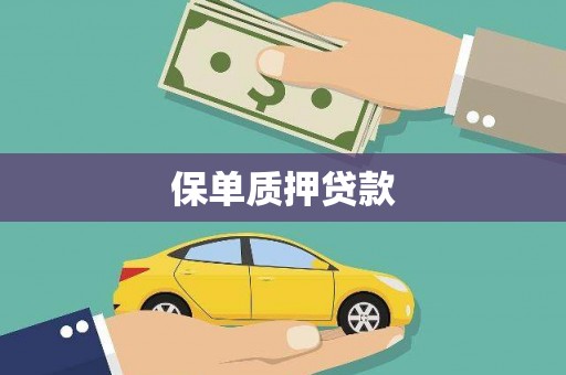 大社保单质押贷款