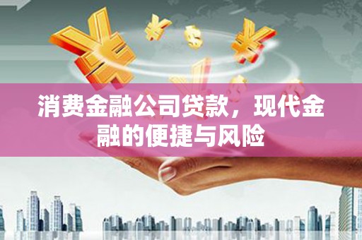 大社消费金融公司贷款，现代金融的便捷与风险