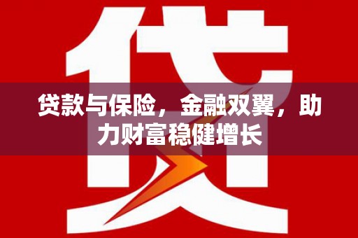 大社贷款与保险，金融双翼，助力财富稳健增长